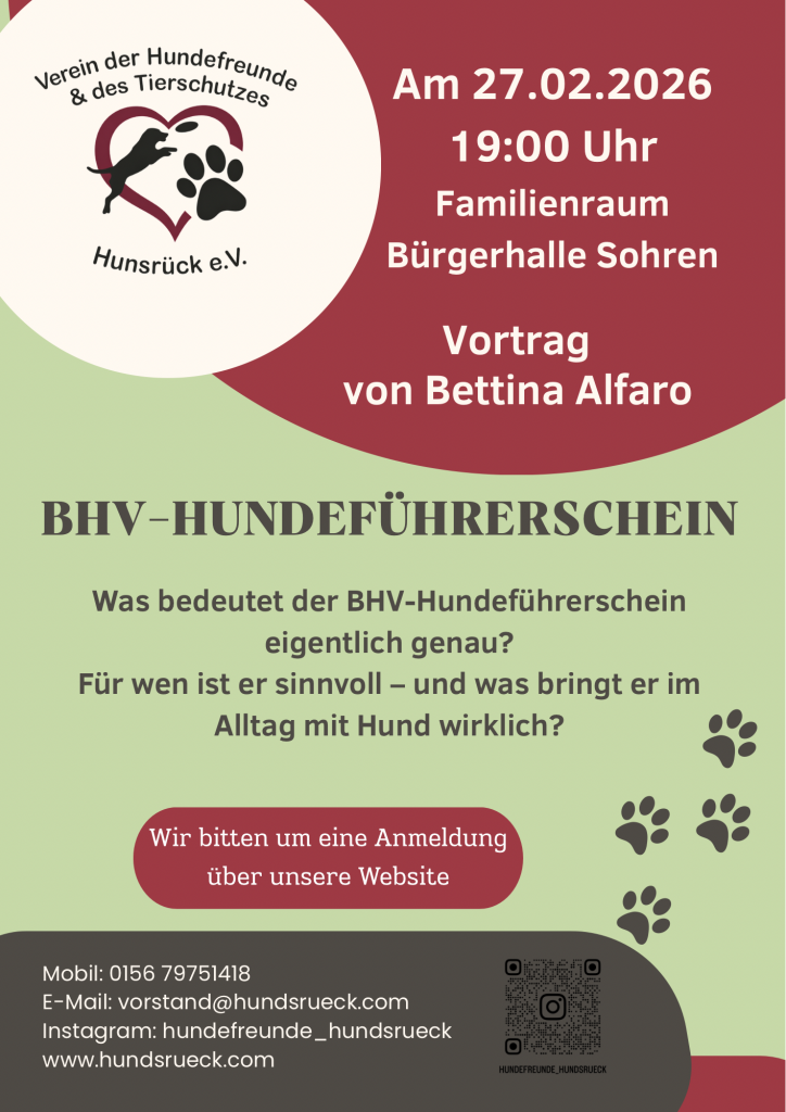 kopie von entwurf flyer verein