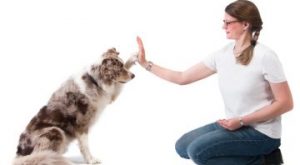 small file 1757748641 4668836