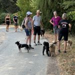 img 3005