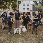 studio.waldgrünpreview 184
