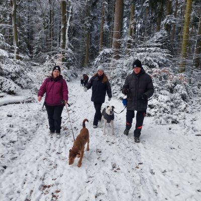 Startseite 32f1fd5c 79c9 49d9 a942 5496c7705280