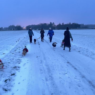 Startseite 3f21bca9 2833 4917 b817 711776dc07b8