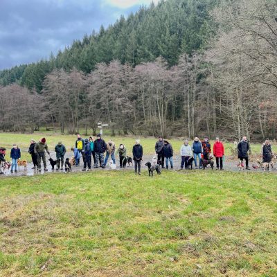 Startseite 3fbc0fcd 5643 4970 990e 0235d97077f9