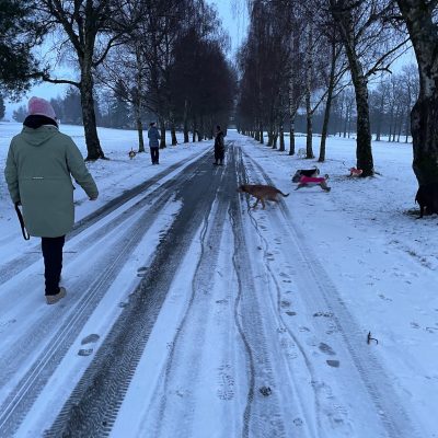 Startseite 463b3ef8 b84c 4763 82e1 5f28af1c88f6