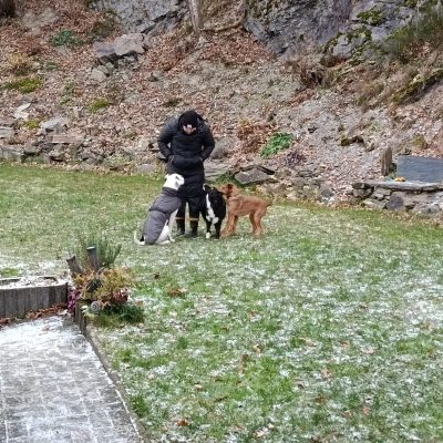 Startseite 483dca93 1a98 4d7d 8cb0 86a0952f9c26