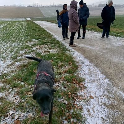 Startseite 4be400ed 24d4 46ba b3a9 76f52d6b1422