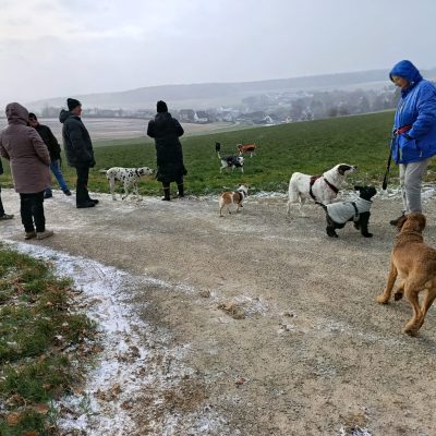 Startseite 4db5ba1b fd5d 47b3 a462 ea0f09dd9ab9