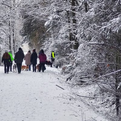 Startseite 71e1bc35 aaa3 4211 83e7 2579ed13360e