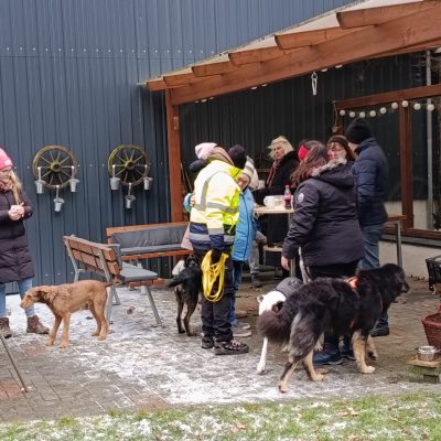 Startseite 95613d28 5010 4c3d adb0 78936339159c