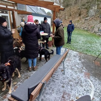 Startseite bb27d2b2 0c43 465c 9edc 4e3effaa6431