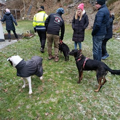 Startseite ce64f18b a4f5 4985 a346 401dd13a295d